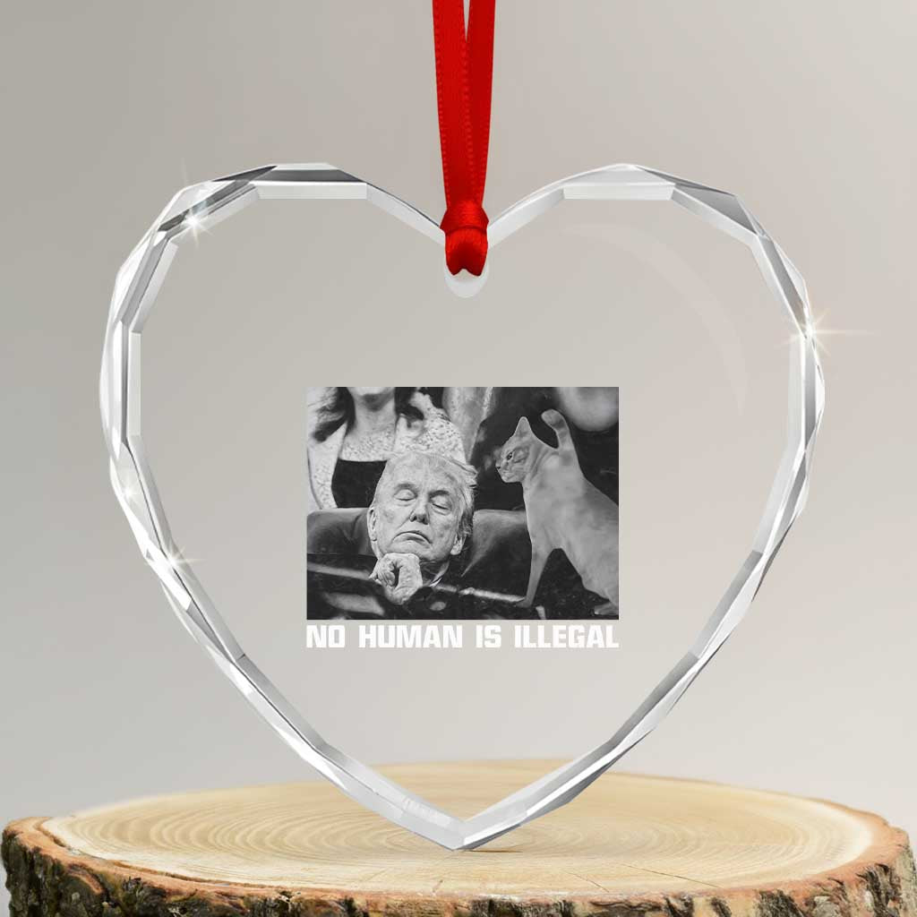 No Human Is Illegal Heart Crystal Glass Ornament Funny Cat Anti ICE Meme TS14 Transparent Glass 3'' Heart Print Your Wear