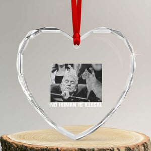 No Human Is Illegal Heart Crystal Glass Ornament Funny Cat Anti ICE Meme TS14 Transparent Glass 3'' Heart Print Your Wear
