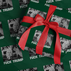 No Human Is Illegal Wrapping Paper Roll Funny Cat Anti ICE Meme TS14 Green Print Your Wear
