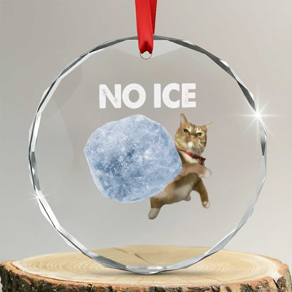 No Ice Crystal Glass Ornament Funny Cat Meme Subtle FDT Political Satire TS10 Transparent Glass 3'' Circle Print Your Wear