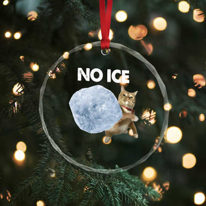 No Ice Crystal Glass Ornament Funny Cat Meme Subtle FDT Political Satire TS10 Print Your Wear