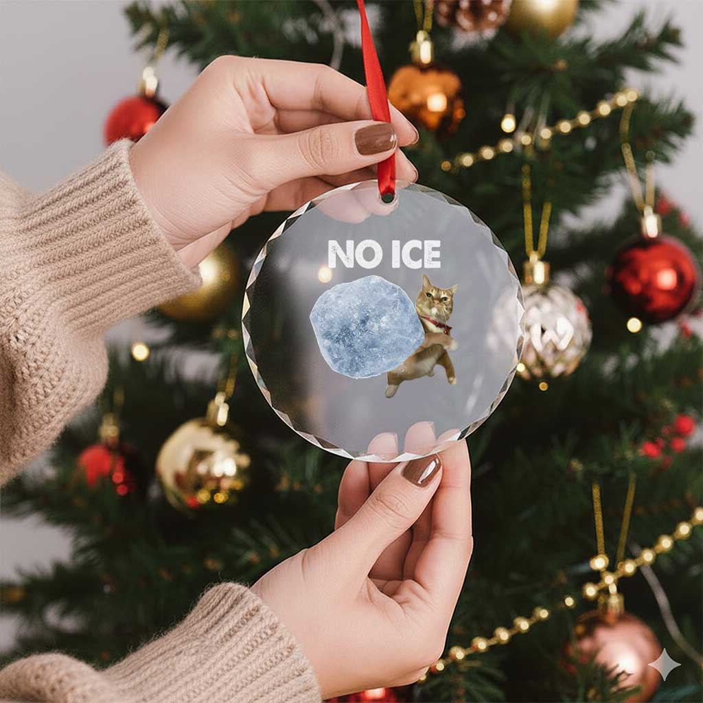 No Ice Crystal Glass Ornament Funny Cat Meme Subtle FDT Political Satire TS10 Print Your Wear