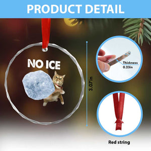 No Ice Crystal Glass Ornament Funny Cat Meme Subtle FDT Political Satire TS10 Print Your Wear