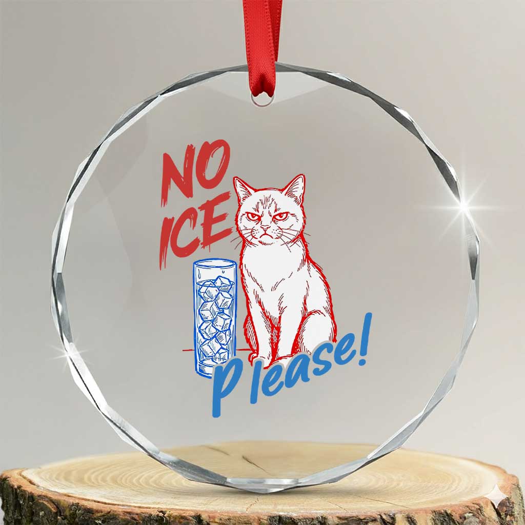 No Ice Please Angry Cat Graphic Crystal Glass Ornament Subtle Against Ice Protest Political Resistance TS02 Transparent Glass 3'' Circle Print Your Wear