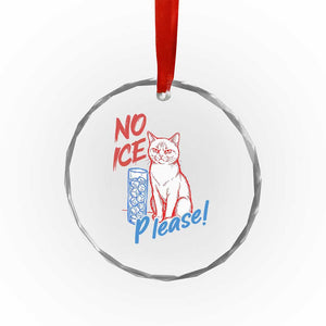 No Ice Please Angry Cat Graphic Crystal Glass Ornament Subtle Against Ice Protest Political Resistance TS02 Print Your Wear