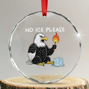 No Ice Please Crystal Glass Ornament Funny American Eagle Social Justice Gift TS12 Transparent Glass 3'' Circle Print Your Wear
