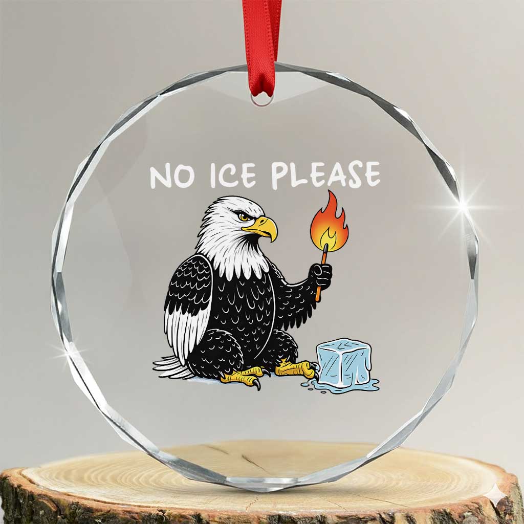 No Ice Please Crystal Glass Ornament Funny American Eagle Social Justice Gift TS12 Transparent Glass 3'' Circle Print Your Wear