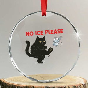 No Ice Please Crystal Glass Ornament Funny Black Cat Abolish ICE Meme Protest TS14 Transparent Glass 3'' Circle Print Your Wear
