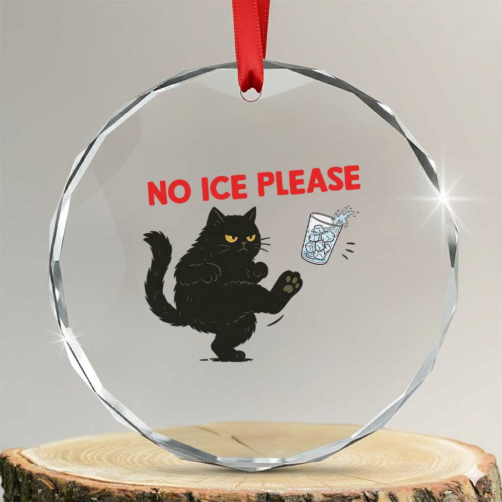 No Ice Please Crystal Glass Ornament Funny Black Cat Abolish ICE Meme Protest TS14 Transparent Glass 3'' Circle Print Your Wear