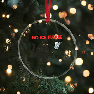 No Ice Please Crystal Glass Ornament Funny Black Cat Abolish ICE Meme Protest TS14 Print Your Wear