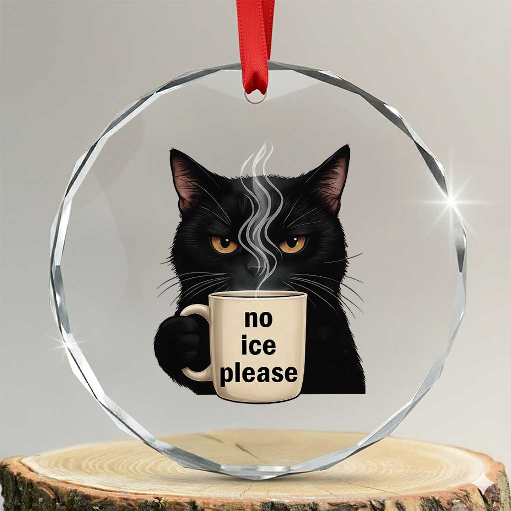 No Ice Please Crystal Glass Ornament Funny Black Cat Anti ICE Meme TS14 Transparent Glass 3'' Circle Print Your Wear