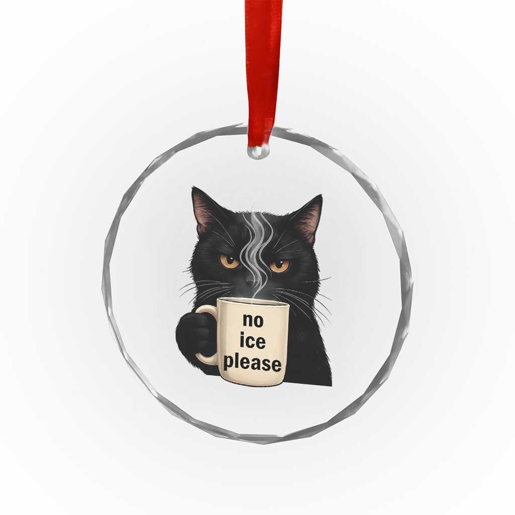 No Ice Please Crystal Glass Ornament Funny Black Cat Anti ICE Meme TS14 Print Your Wear