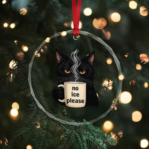 No Ice Please Crystal Glass Ornament Funny Black Cat Anti ICE Meme TS14 Print Your Wear