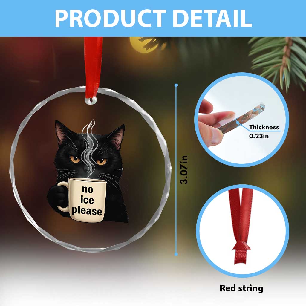 No Ice Please Crystal Glass Ornament Funny Black Cat Anti ICE Meme TS14 Print Your Wear
