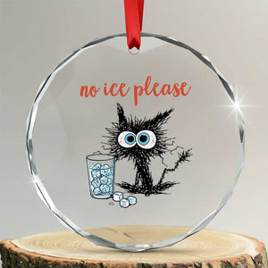 No Ice Please Crystal Glass Ornament Funny Black Cat Sarcastic Abolish ICE Meme TS14 Transparent Glass 3'' Circle Print Your Wear