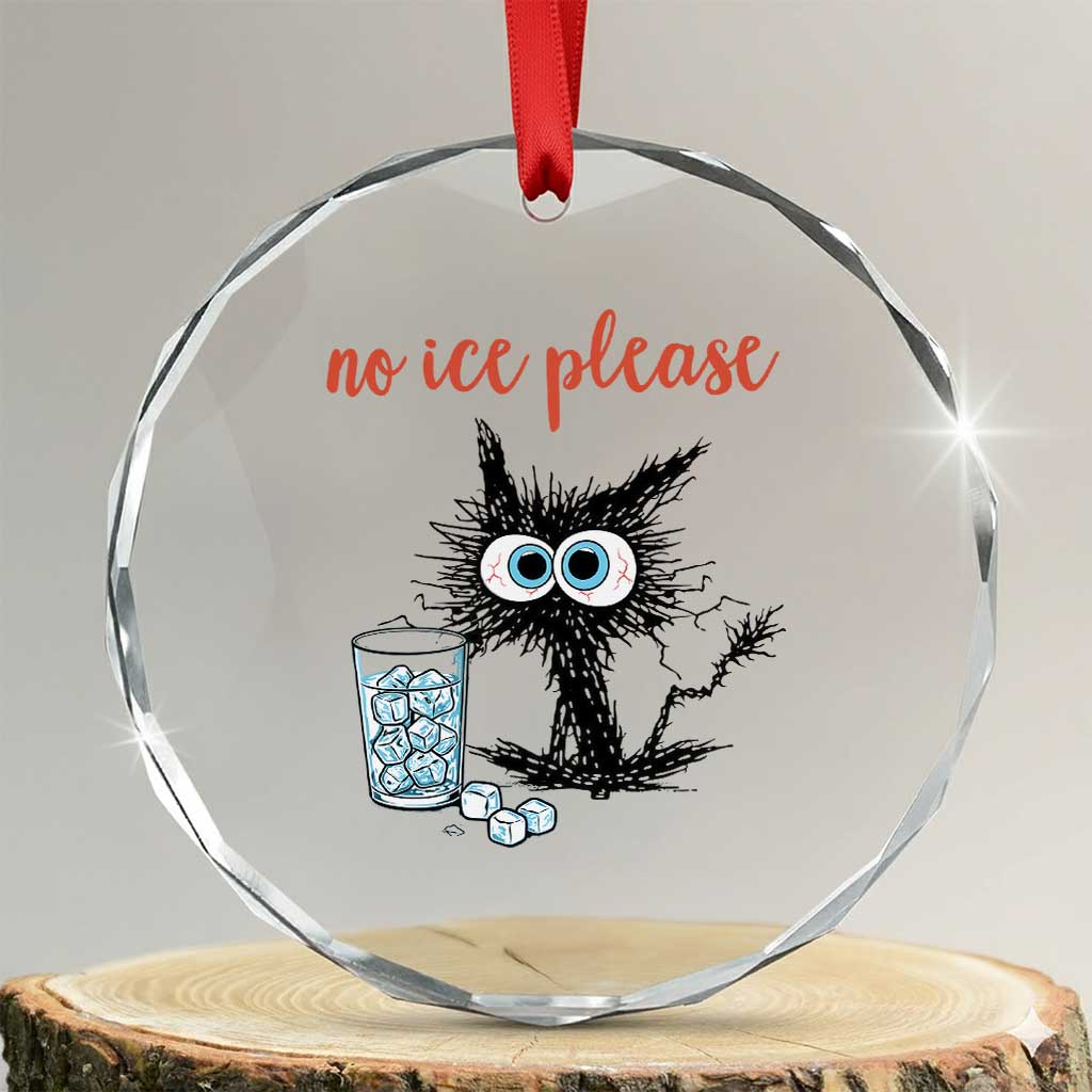 No Ice Please Crystal Glass Ornament Funny Black Cat Sarcastic Abolish ICE Meme TS14 Transparent Glass 3'' Circle Print Your Wear