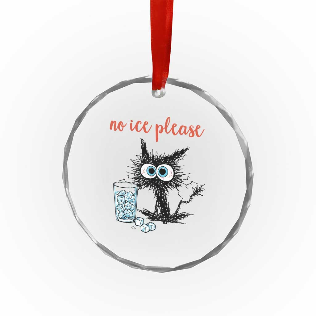 No Ice Please Crystal Glass Ornament Funny Black Cat Sarcastic Abolish ICE Meme TS14 Print Your Wear