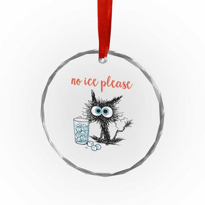No Ice Please Crystal Glass Ornament Funny Black Cat Sarcastic Abolish ICE Meme TS14 Print Your Wear