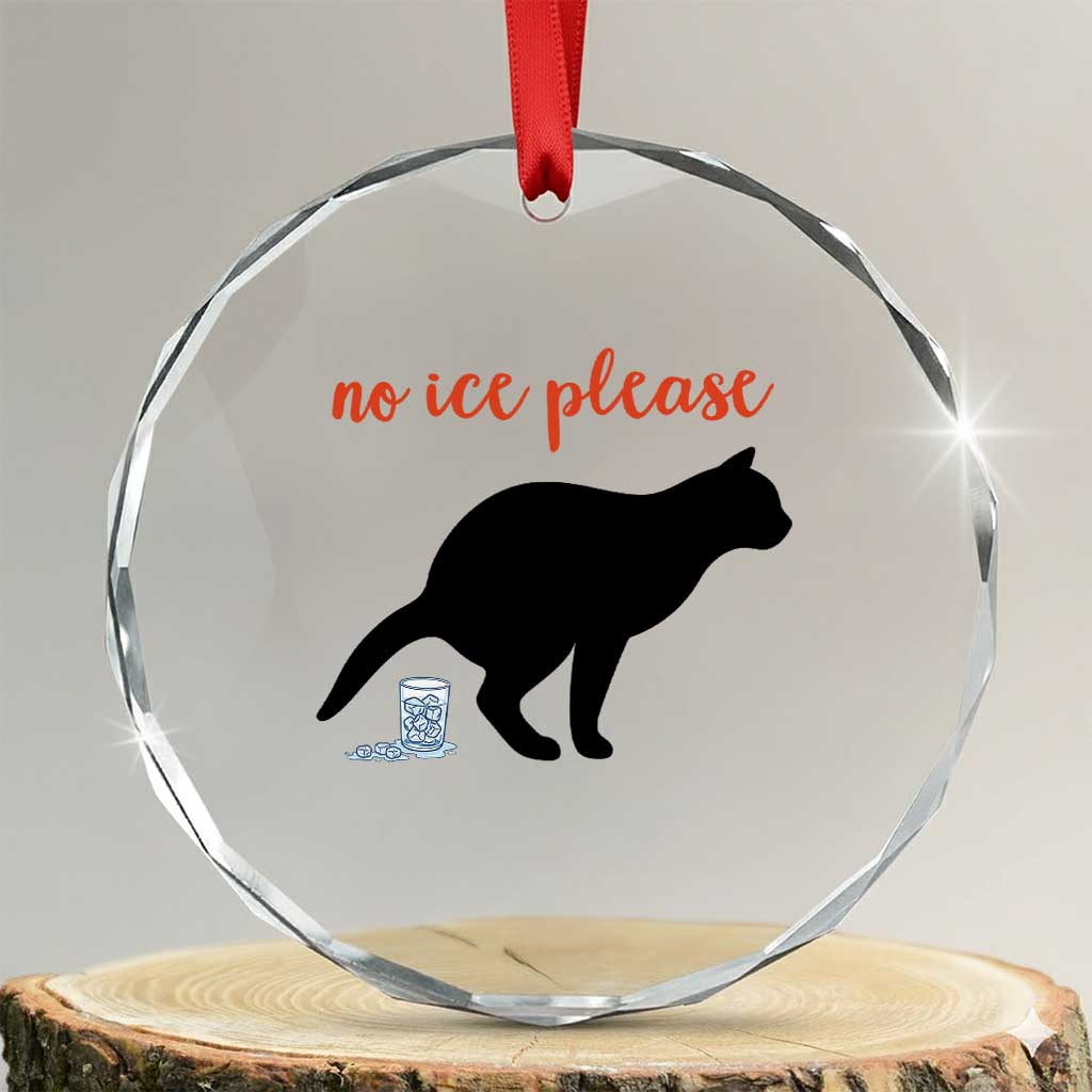 No Ice Please Crystal Glass Ornament Funny Cat Abolish ICE Meme TS14 Transparent Glass 3'' Circle Print Your Wear