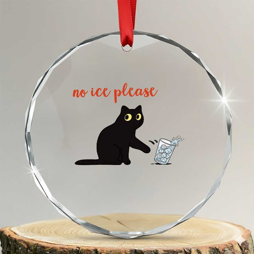 No Ice Please Crystal Glass Ornament Funny Cat Abolish ICE Meme Protest TS14 Transparent Glass 3'' Circle Print Your Wear