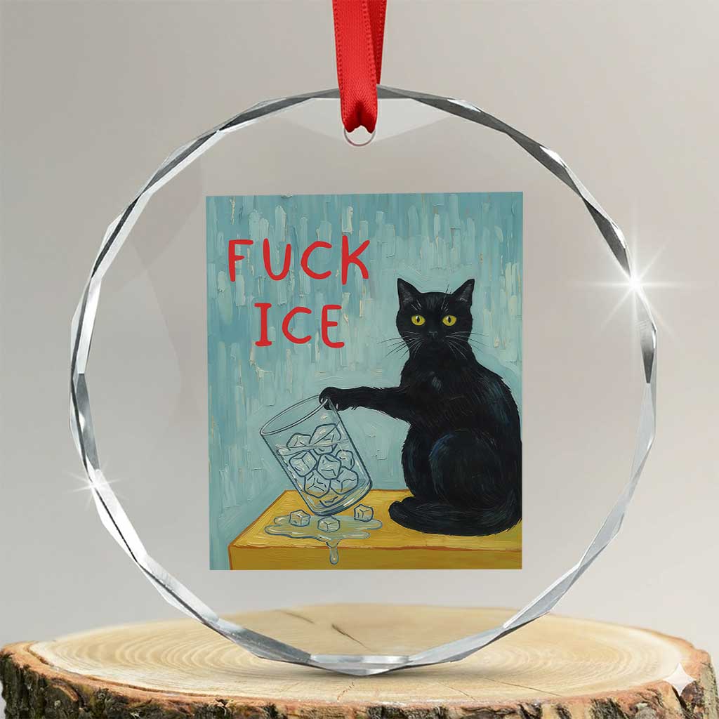 No Ice Please Crystal Glass Ornament Funny Cat Anti ICE Artist Meme TS14 Transparent Glass 3'' Circle Print Your Wear