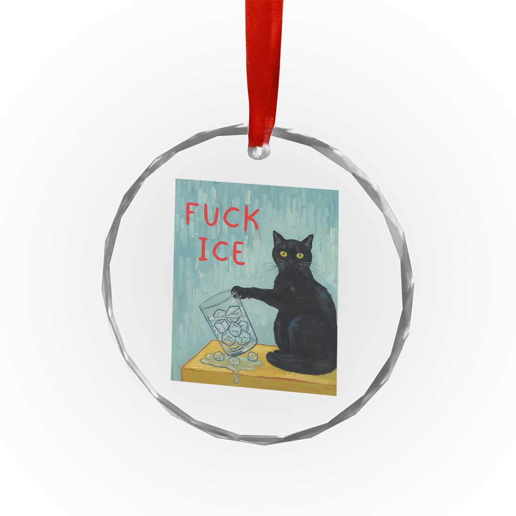 No Ice Please Crystal Glass Ornament Funny Cat Anti ICE Artist Meme TS14 Print Your Wear