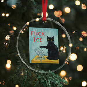 No Ice Please Crystal Glass Ornament Funny Cat Anti ICE Artist Meme TS14 Print Your Wear