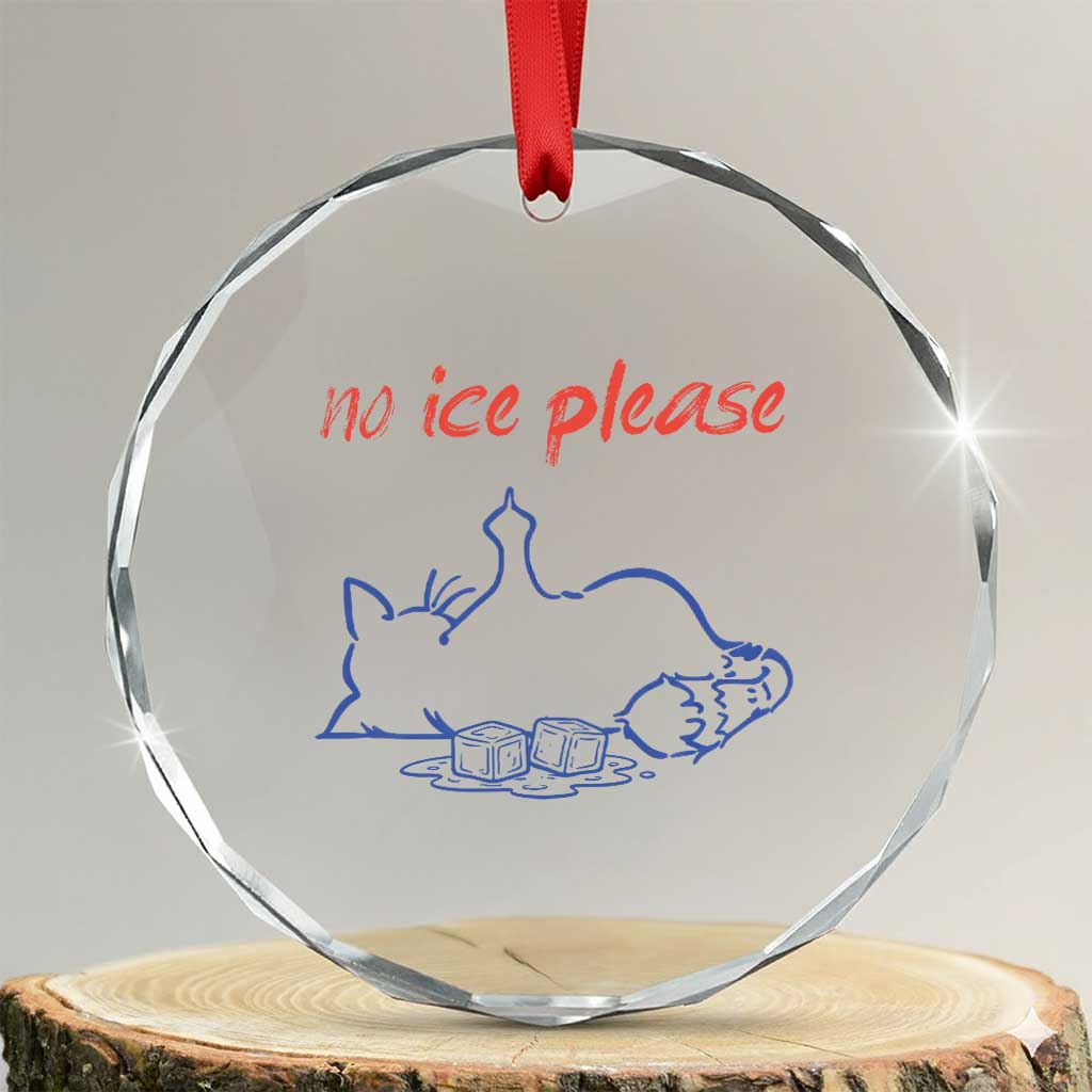 No Ice Please Crystal Glass Ornament Funny Cat Anti ICE Deportation Human Rights TS14 Transparent Glass 3'' Circle Print Your Wear