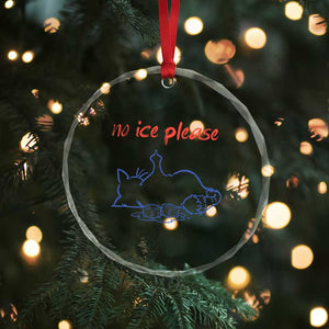 No Ice Please Crystal Glass Ornament Funny Cat Anti ICE Deportation Human Rights TS14 Print Your Wear