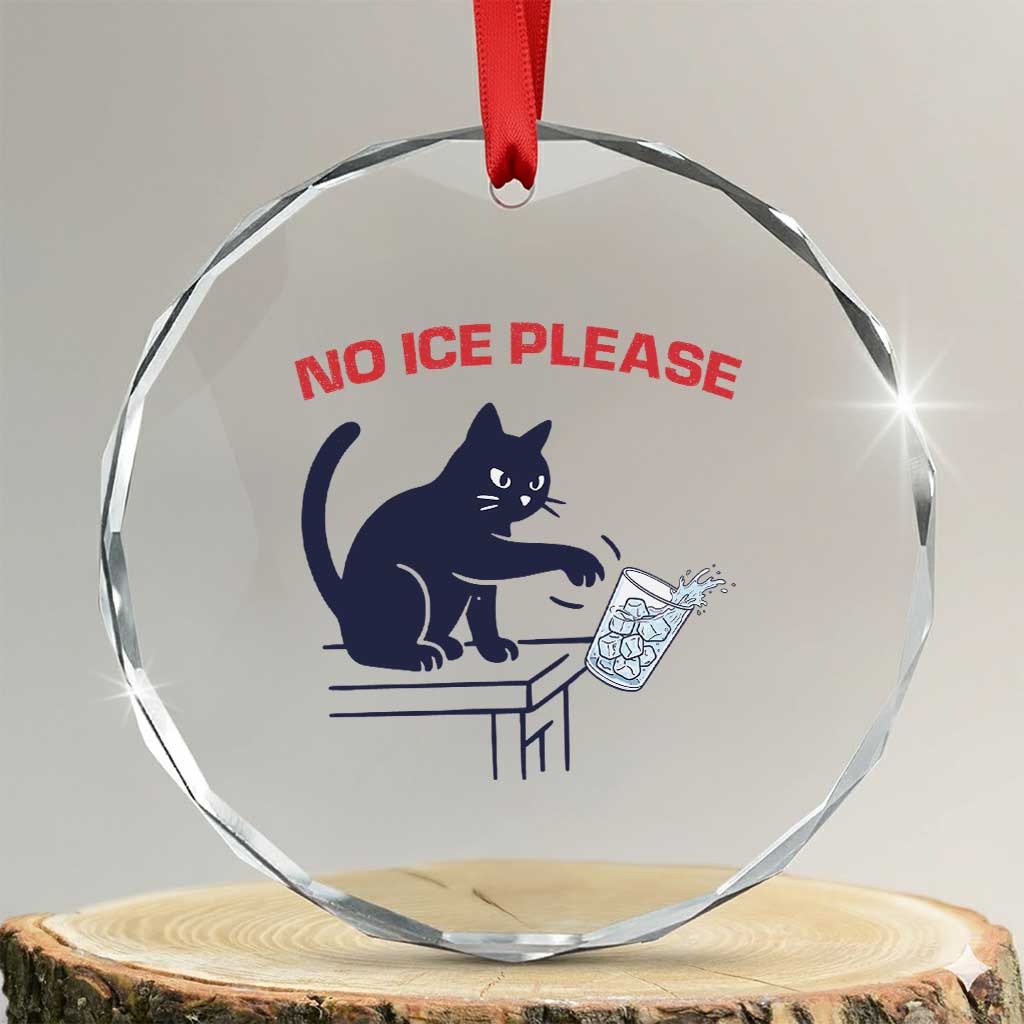 No Ice Please Crystal Glass Ornament Funny Cat Anti ICE Meme TS14 Transparent Glass 3'' Circle Print Your Wear
