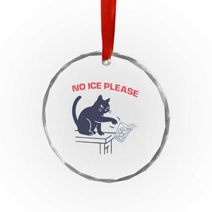 No Ice Please Crystal Glass Ornament Funny Cat Anti ICE Meme TS14 Print Your Wear