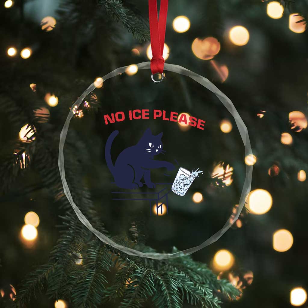 No Ice Please Crystal Glass Ornament Funny Cat Anti ICE Meme TS14 Print Your Wear