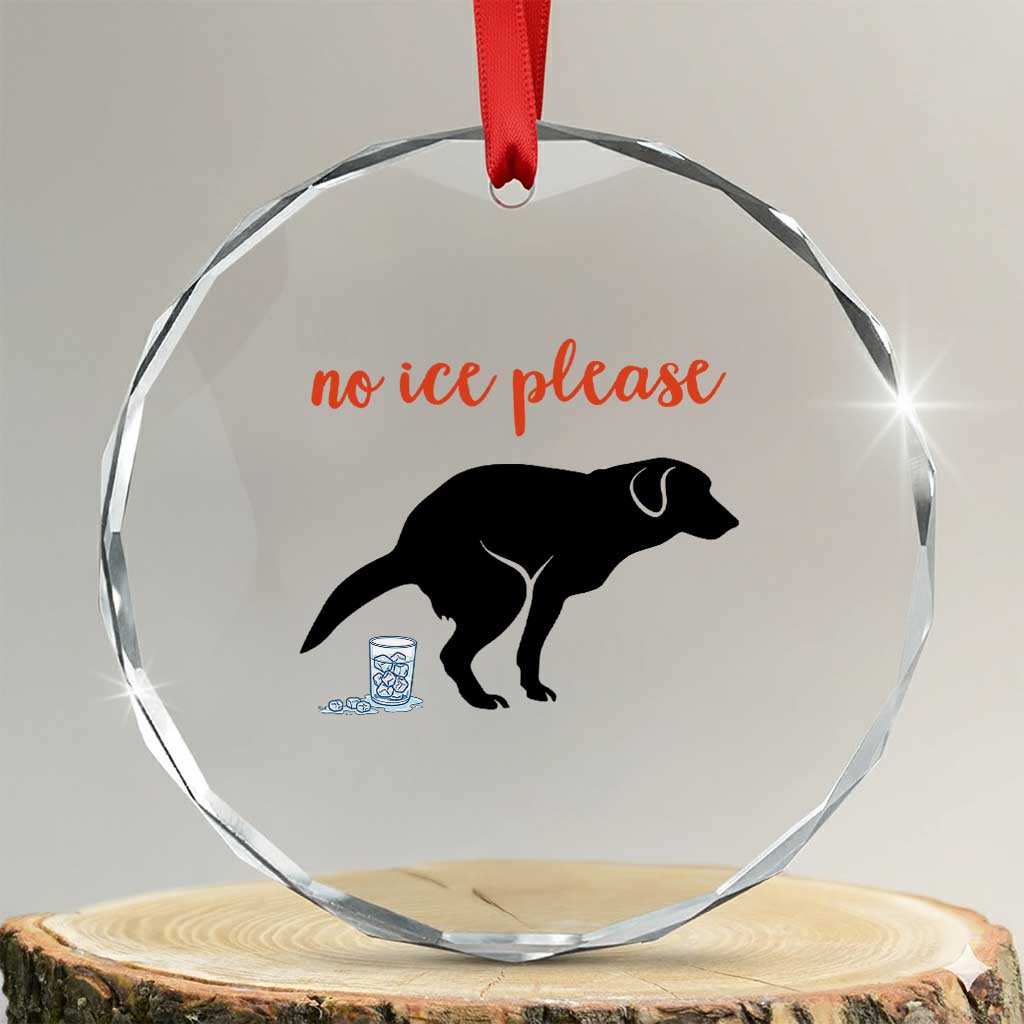 No Ice Please Crystal Glass Ornament Funny Dog Anti ICE Meme TS14 Transparent Glass 3'' Circle Print Your Wear