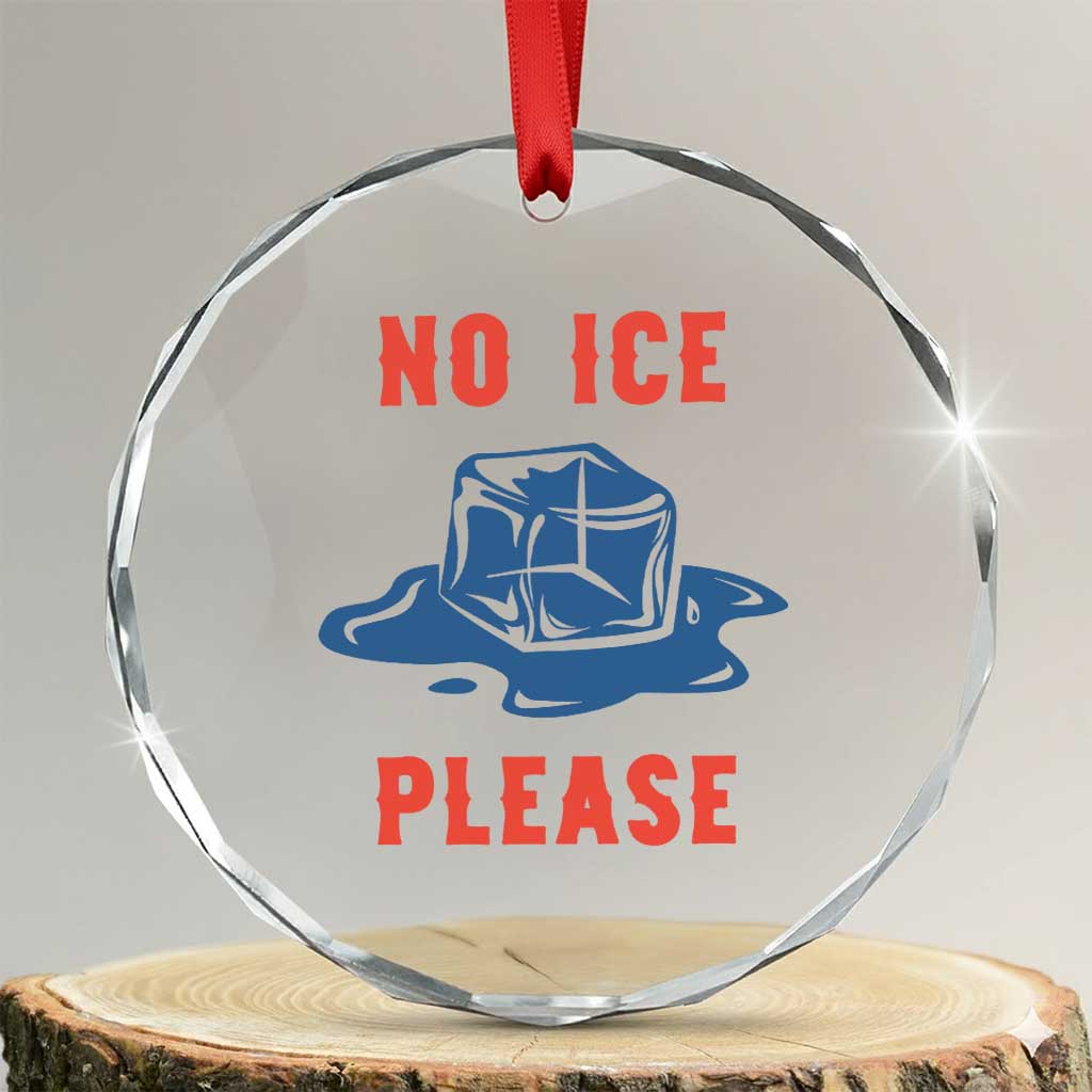 No Ice Please Crystal Glass Ornament Funny Ice Cube Anti ICE Deportation Human Rights TS14 Transparent Glass 3'' Circle Print Your Wear