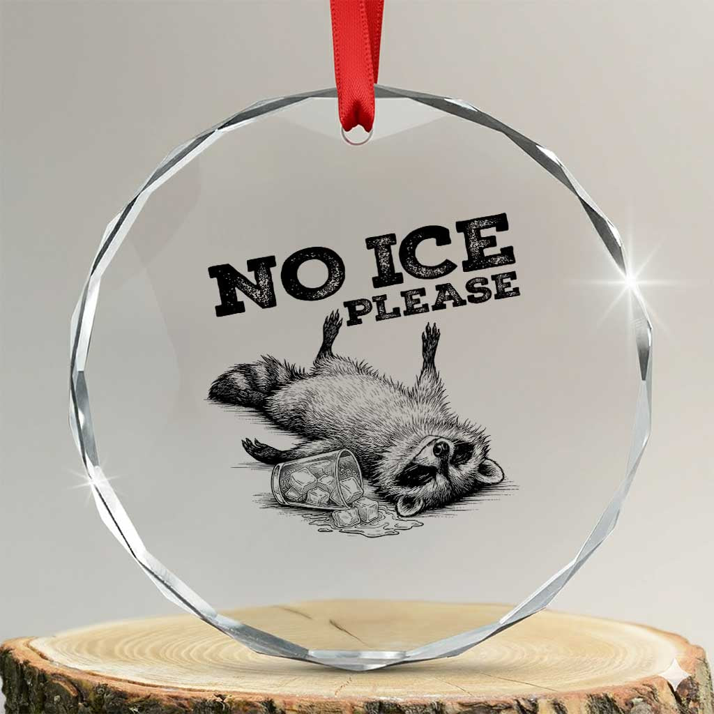 No Ice Please Crystal Glass Ornament Funny Raccoon Anti ICE Deportation Human Rights TS14 Transparent Glass 3'' Circle Print Your Wear