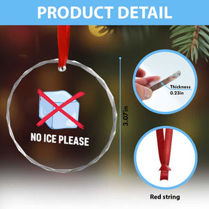 No Ice Please Crystal Glass Ornament Ice Cube Anti ICE Deportation Human Rights Protest TS14 Print Your Wear