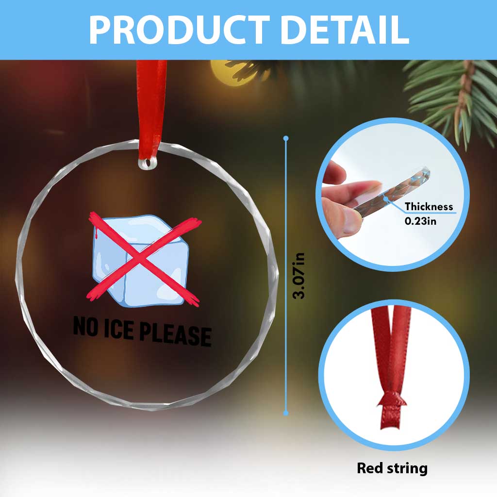 No Ice Please Crystal Glass Ornament Subtle Anti ICE Deportation Human Rights TS14 Print Your Wear