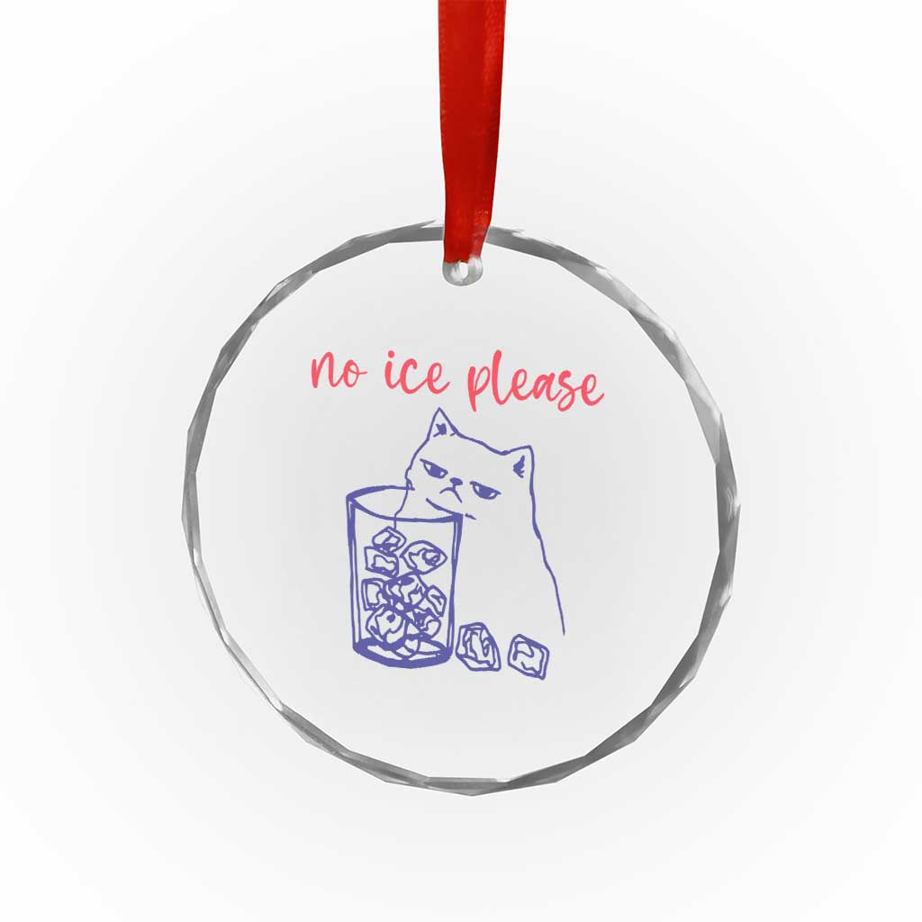 No Ice Please Funny Cat Meme Crystal Glass Ornament Subtle Against Ice Protest Political Resistance TS02 Print Your Wear