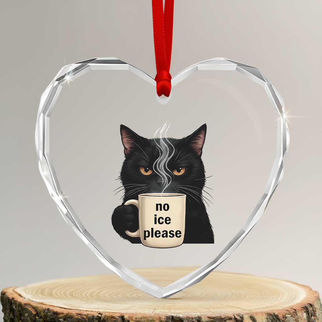 No Ice Please Heart Crystal Glass Ornament Funny Black Cat Anti ICE Meme TS14 Transparent Glass 3'' Heart Print Your Wear