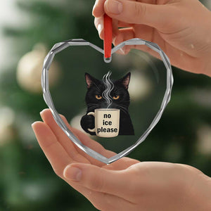 No Ice Please Heart Crystal Glass Ornament Funny Black Cat Anti ICE Meme TS14 Print Your Wear