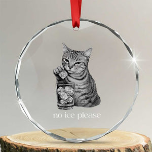 No Ice Please Realistic Angry Cat Graphic Crystal Glass Ornament Resistance Against Ice Protest TS02 Transparent Glass 3'' Circle Print Your Wear