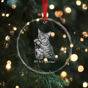 No Ice Please Realistic Angry Cat Graphic Crystal Glass Ornament Resistance Against Ice Protest TS02 Print Your Wear
