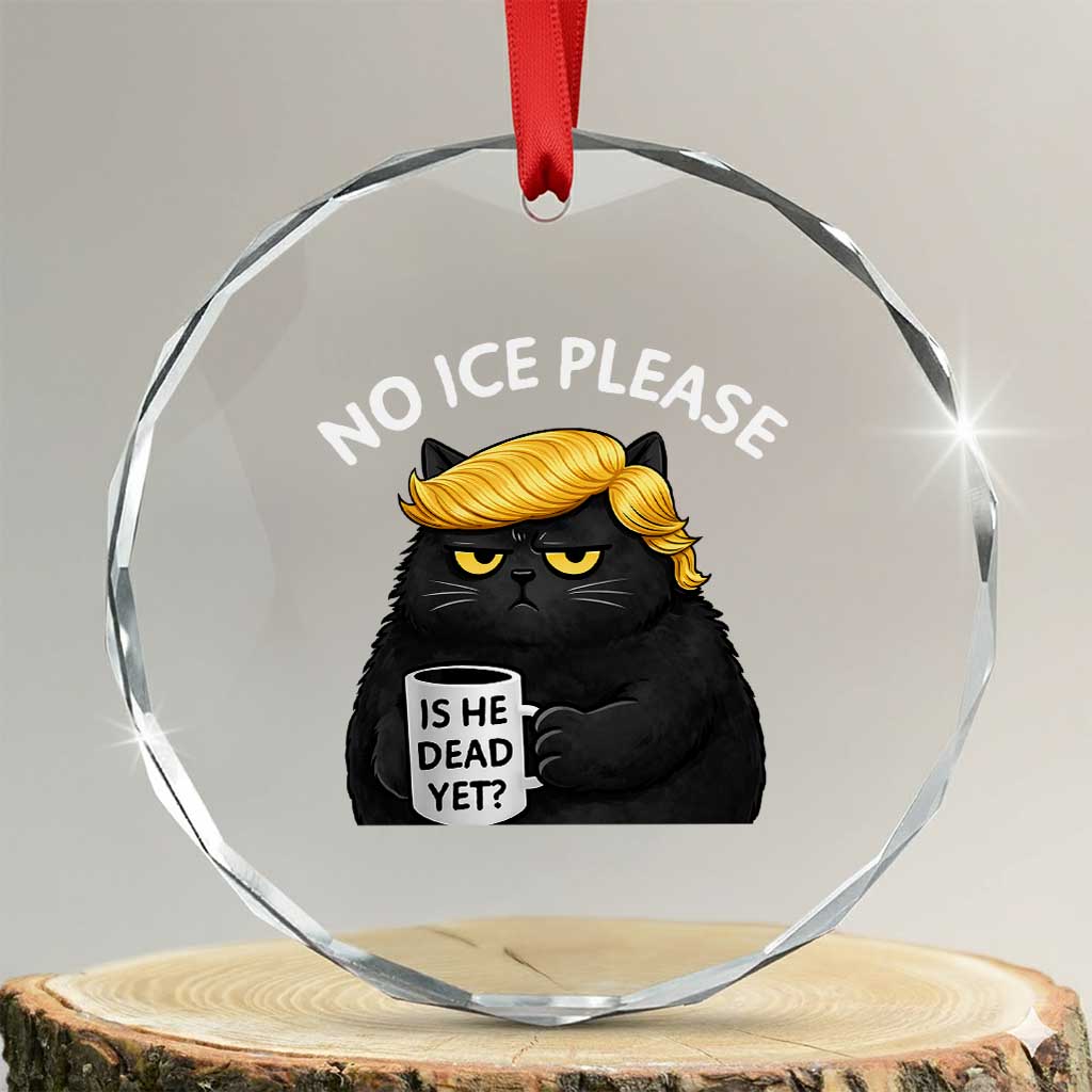 No ICE Protest Crystal Glass Ornament Is He Dead Yet Black Cat Meme TS10 Transparent Glass 3'' Circle Print Your Wear