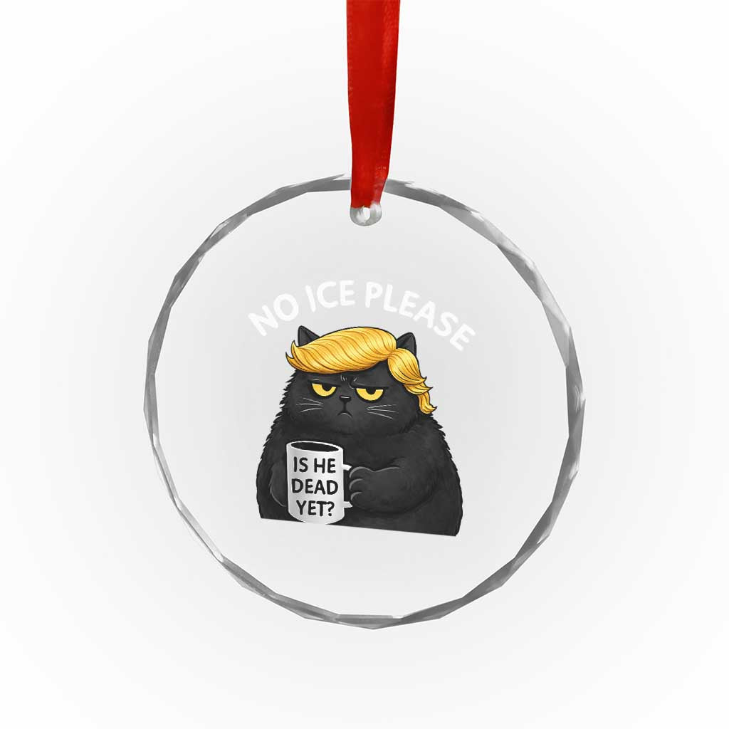 No ICE Protest Crystal Glass Ornament Is He Dead Yet Black Cat Meme TS10 Print Your Wear