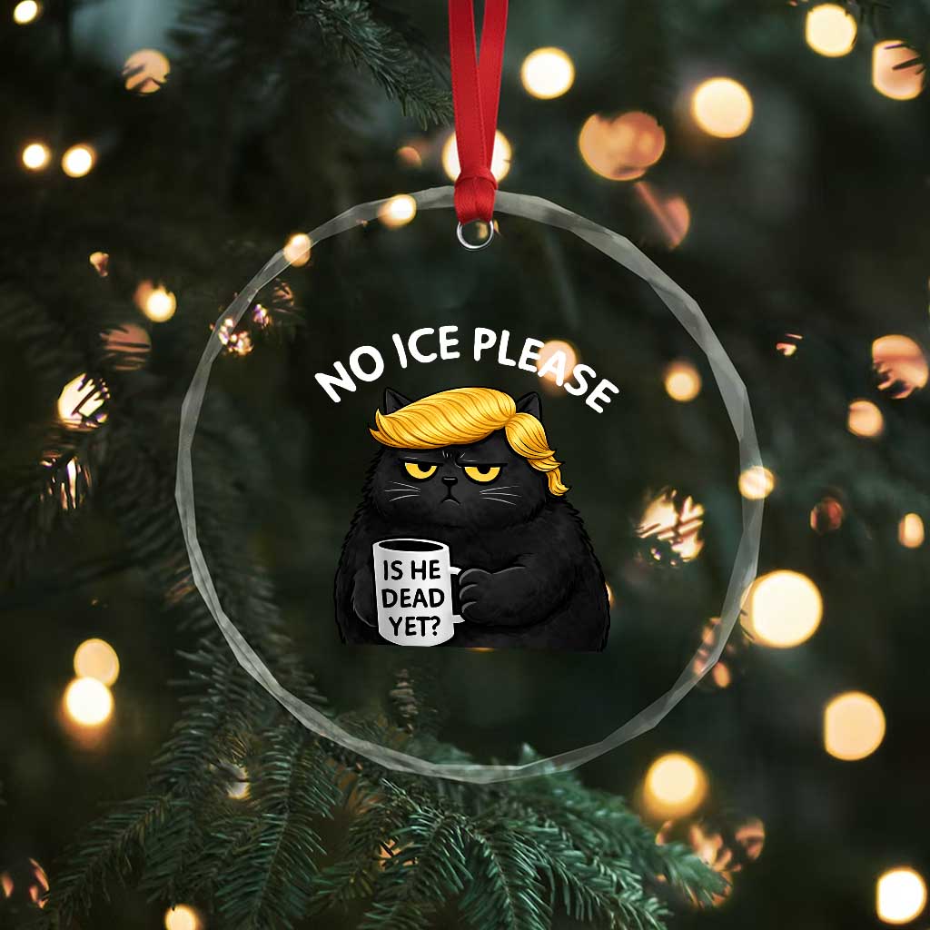 No ICE Protest Crystal Glass Ornament Is He Dead Yet Black Cat Meme TS10 Print Your Wear