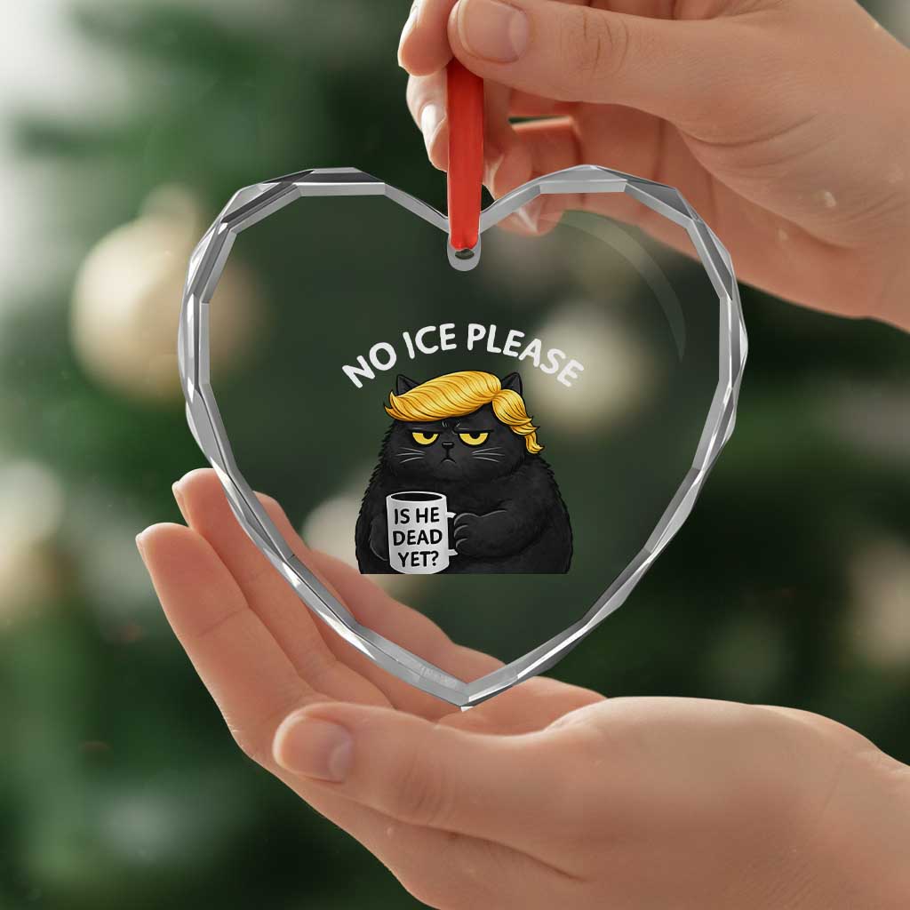 No ICE Protest Heart Crystal Glass Ornament Is He Dead Yet Black Cat Meme TS10 Print Your Wear