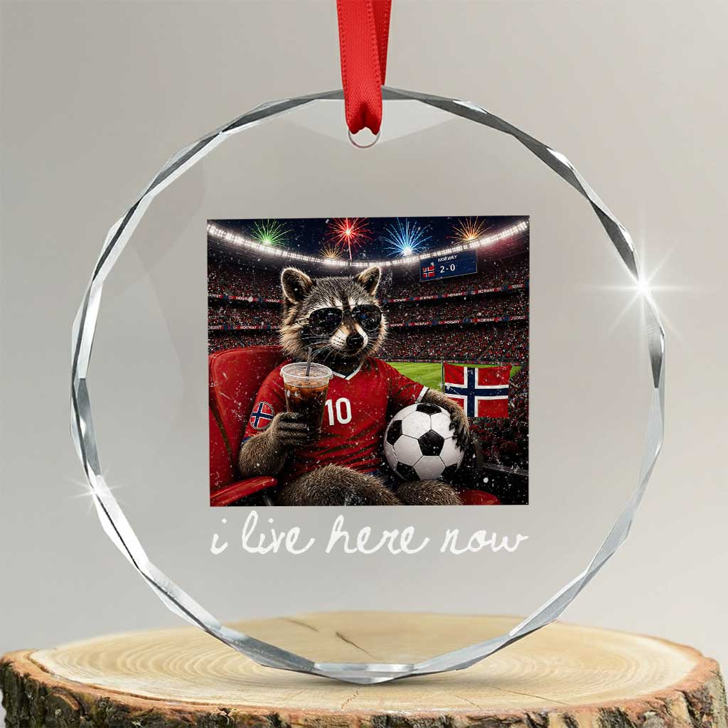 Norway Soccer Football Fan Norge Norwegian Flag Crystal Glass Ornament Funny Raccoon Drinking Iced Coffee TS14 Transparent Glass 3'' Circle Print Your Wear