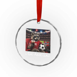 Norway Soccer Football Fan Norge Norwegian Flag Crystal Glass Ornament Funny Raccoon Drinking Iced Coffee