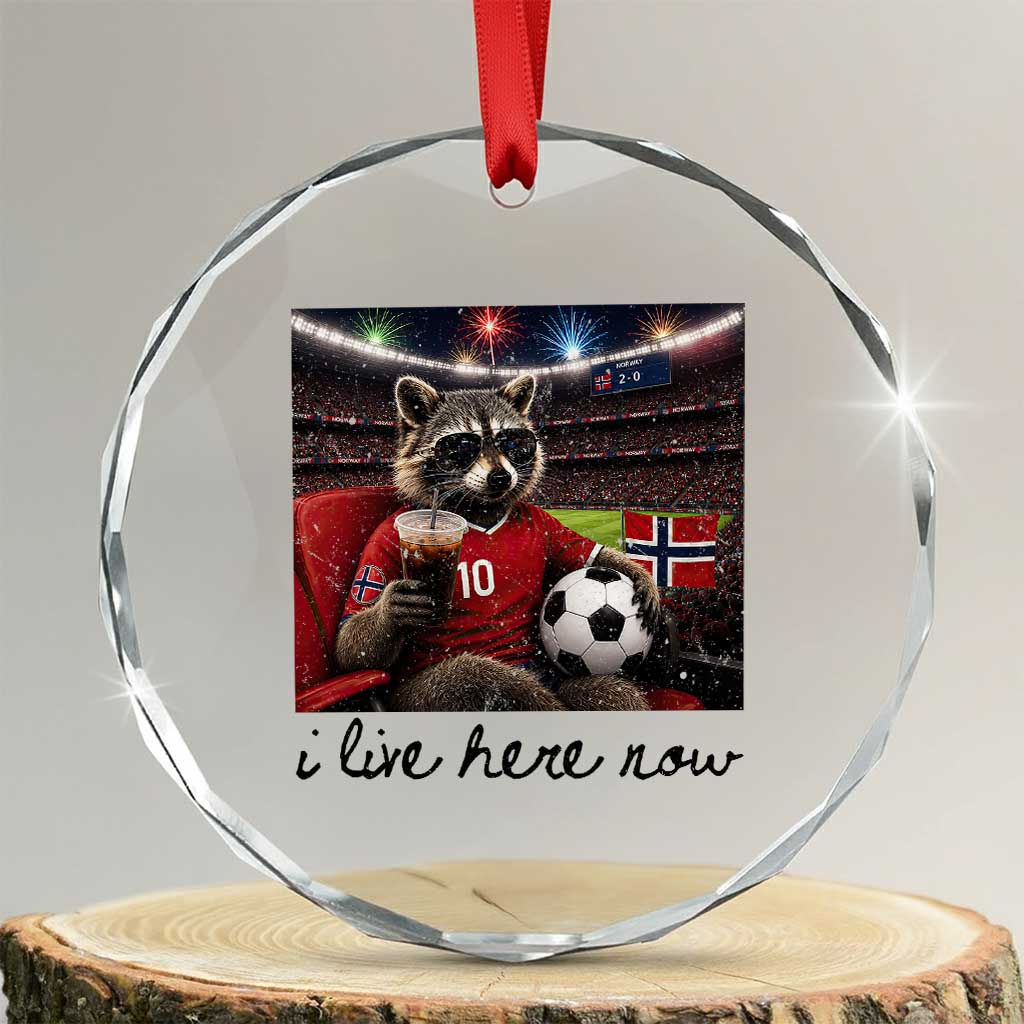 Norway Soccer Football Fan Norge Norwegian Flag Crystal Glass Ornament Funny Raccoon I Live Here Now TS14 Transparent Glass 3'' Circle Print Your Wear