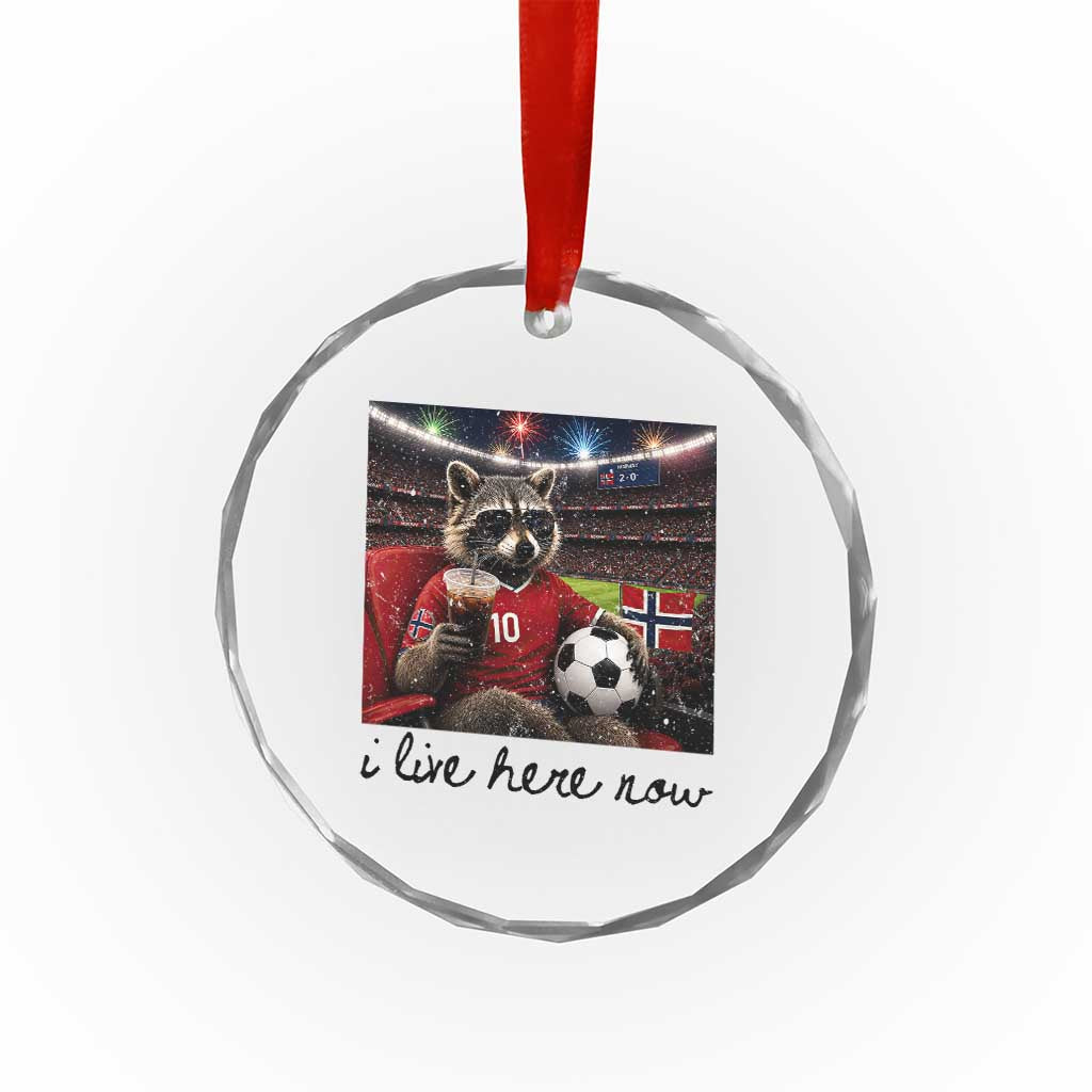 Norway Soccer Football Fan Norge Norwegian Flag Crystal Glass Ornament Funny Raccoon I Live Here Now